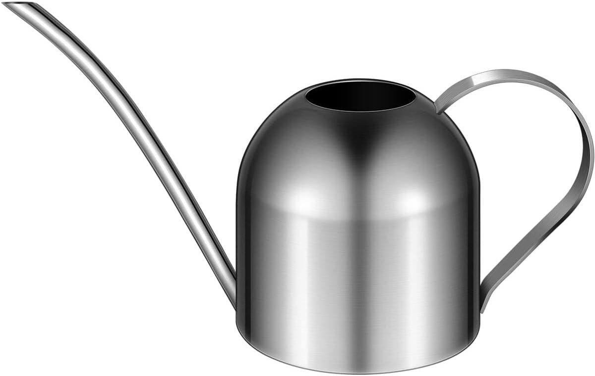 Roestvrijstalen gieters met lange tuit voor bloemen en planten - Tuin- en huisgereedschap voor binnen en buiten, 2 liter, zilver