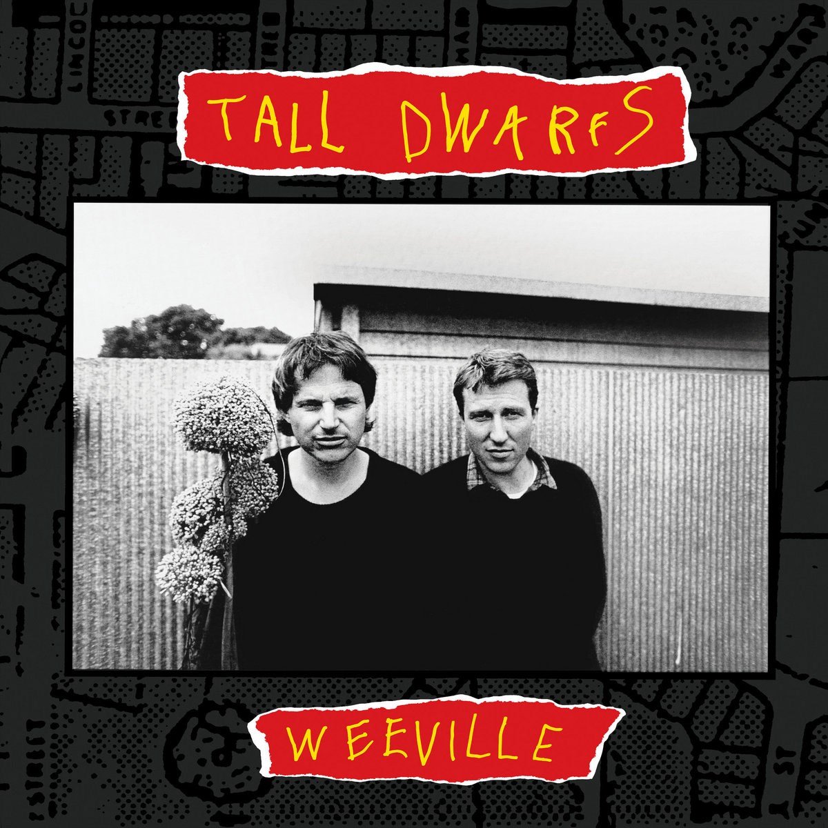 Tall Dwarfs - Weeville (CD)