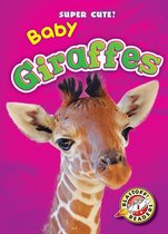 Super Cute! - Baby Giraffes