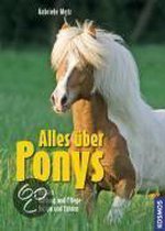 Alles über Ponys