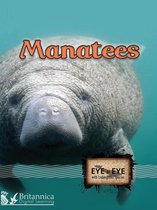 Eye to Eye with Endangered Species - Manatees