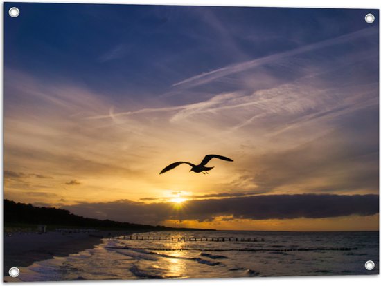 Tuinposter – Silhouet van Meeuw vliegend boven Kalme Zee - 80x60 cm Foto op Tuinposter (wanddecoratie voor buiten en binnen)