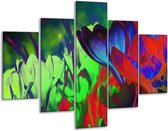 Glasschilderij -  Krokus - Blauw, Groen, Rood - 100x70cm 5Luik - Geen Acrylglas Schilderij - GroepArt 6000+ Glasschilderijen Collectie - Wanddecoratie- Foto Op Glas