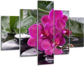 Peinture sur verre d'orchidée | Vert, violet, noir | 100x70cm 5Liège | Tirage photo sur verre |  F004045