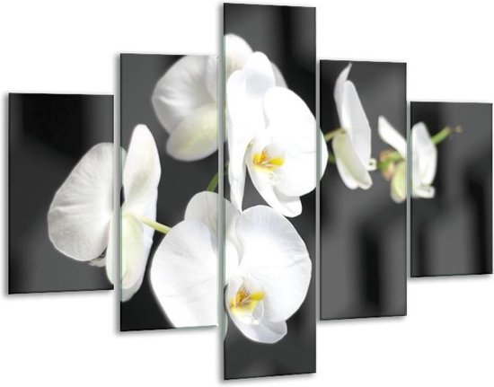 Glasschilderij -  Orchidee - Zwart, Wit, Grijs - 100x70cm 5Luik - Geen Acrylglas Schilderij - GroepArt 6000+ Glasschilderijen Collectie - Wanddecoratie- Foto Op Glas