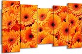 GroepArt - Canvas Schilderij - Bloemen - Oranje, Zwart - 150x80cm 5Luik- Groot Collectie Schilderijen Op Canvas En Wanddecoraties