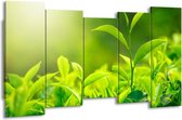 GroepArt - Canvas Schilderij - Natuur - Groen, Geel - 150x80cm 5Luik- Groot Collectie Schilderijen Op Canvas En Wanddecoraties