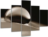 Glasschilderij -  Macro - Sepia - 100x70cm 5Luik - Geen Acrylglas Schilderij - GroepArt 6000+ Glasschilderijen Collectie - Wanddecoratie- Foto Op Glas