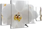 GroepArt - Schilderij -  Orchidee, Bloemen - Wit, Geel - 160x90cm 4Luik - Schilderij Op Canvas - Foto Op Canvas