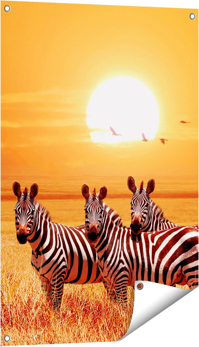 Gards Tuinposter Drie Zebra's bij Zonsondergang - 60x90 cm - Tuindoek - Tuindecoratie - Wanddecoratie buiten - Tuinschilderij Multikleur