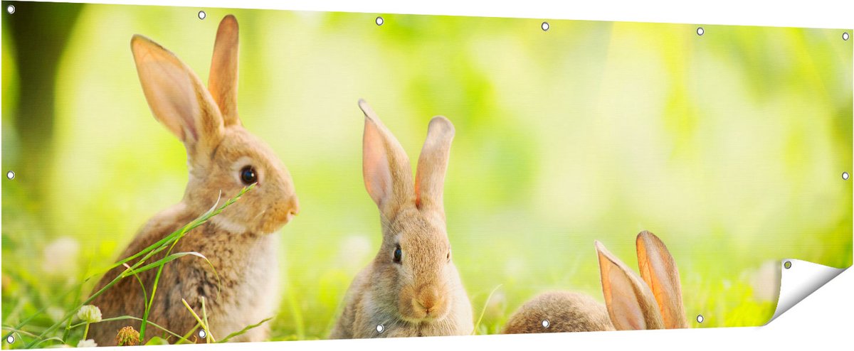 Gards Tuinposter Drie Konijnen op het Gras bij Zonneschijn - 210x70 cm - Tuindoek - Tuindecoratie - Wanddecoratie buiten - Tuinschilderij Multikleur