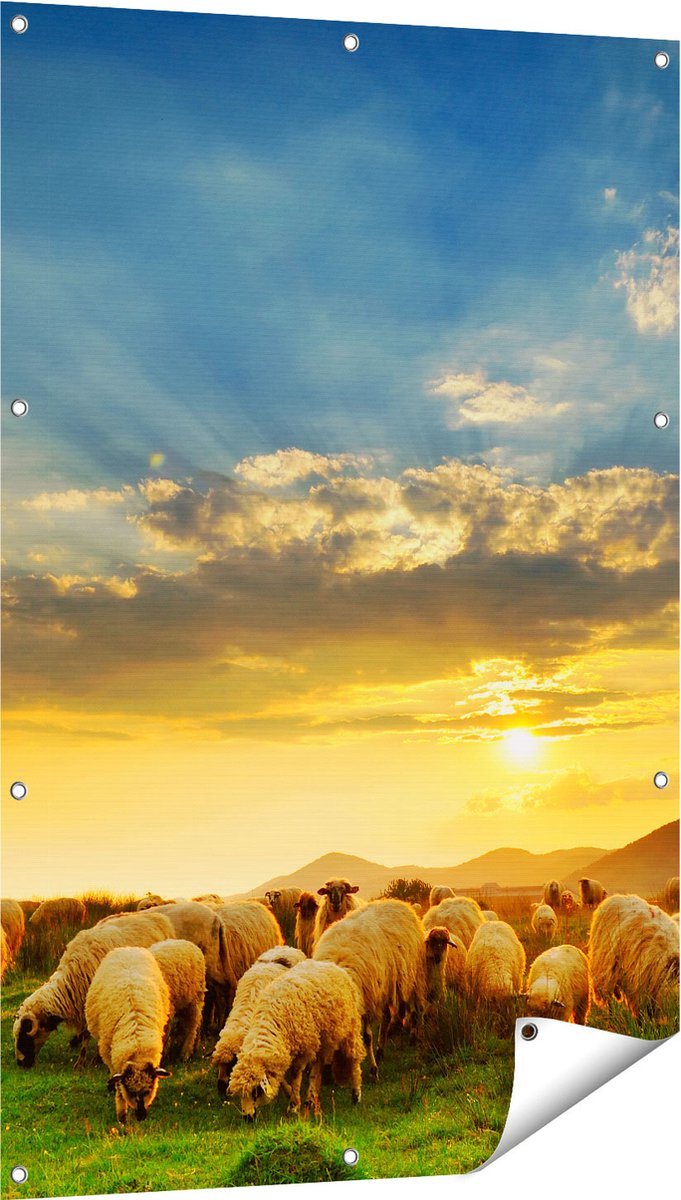 Gards Tuinposter Kudde Schapen op het Gras bij Zonsondergang - 80x120 cm - Tuindoek - Tuindecoratie - Wanddecoratie buiten - Tuinschilderij Multikleur
