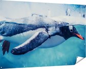 Gards Tuinposter Pingu�n Zwemt in het Water - 180x120 cm - Tuindoek - Tuindecoratie - Wanddecoratie buiten - Tuinschilderij
