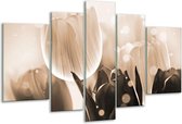 Glasschilderij Tulp - Grijs, Bruin, Zwart - 170x100cm 5Luik - Foto Op Glas - Geen Acrylglas Schilderij - 6000+ Glasschilderijen Collectie - Wanddecoratie
