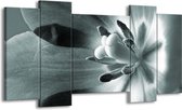 Peinture | Peinture sur toile fleur | Gris vert | 120x65cm 5 Liège | Tirage photo sur toile