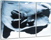 Glasschilderij Koffiebonen, Keuken - Blauw, Wit - 120x80cm 3Luik - Foto Op Glas - Geen Acrylglas Schilderij - GroepArt 6000+ Glas Art Collectie - Maatwerk Mogelijk