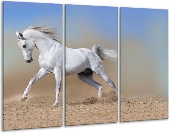 GroepArt - Schilderij -  Paard, Dieren - Crème, Blauw, Wit - 120x80cm 3Luik - 6000+ Schilderijen 0p Canvas Art Collectie