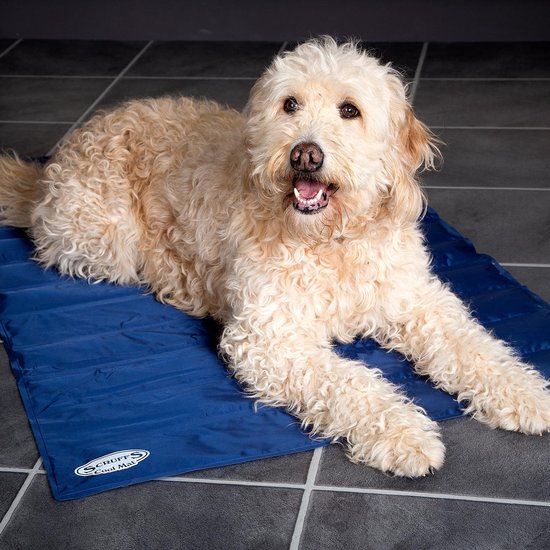 Scruffs Cooling Mat | Hond | Bestellen