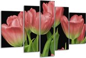 Glasschilderij Tulpen - Rood, Groen, Zwart - 170x100cm 5Luik - Foto Op Glas - Geen Acrylglas Schilderij - 6000+ Glasschilderijen Collectie - Wanddecoratie