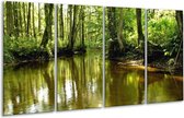Peinture sur verre Nature | Vert, marron | 160x80cm 4 Liège | Tirage photo sur verre |  F001340