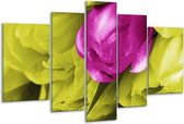 Glasschilderij Tulp - Roze, Groen, Wit - 170x100cm 5Luik - Foto Op Glas - Geen Acrylglas Schilderij - 6000+ Glasschilderijen Collectie - Wanddecoratie