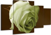 Peinture sur toile Rose | Vert, blanc, marron | 160x90cm 4 Liège