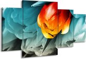 GroepArt - Schilderij -  Tulp - Oranje, Rood, Blauw - 160x90cm 4Luik - Schilderij Op Canvas - Foto Op Canvas