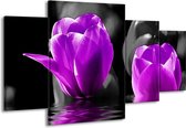 GroepArt - Schilderij -  Tulpen - Paars, Zwart, Grijs - 160x90cm 4Luik - Schilderij Op Canvas - Foto Op Canvas
