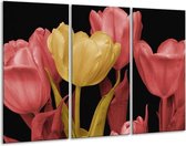 GroepArt - Schilderij -  Tulpen - Geel, Roze, Zwart - 120x80cm 3Luik - 6000+ Schilderijen 0p Canvas Art Collectie