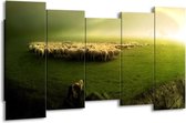 GroepArt - Canvas Schilderij - Schaap - Groen, Geel, Wit - 150x80cm 5Luik- Groot Collectie Schilderijen Op Canvas En Wanddecoraties