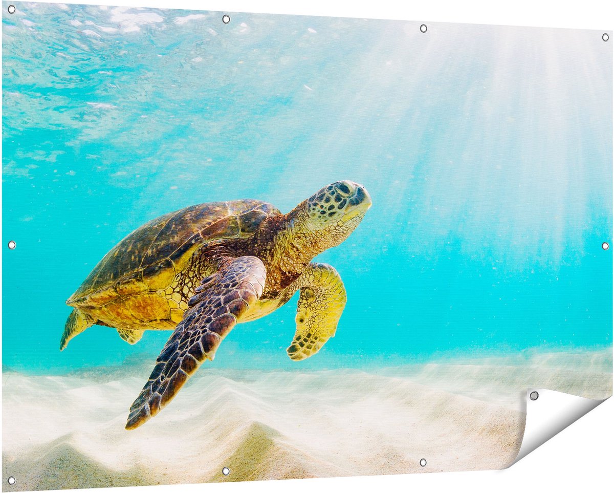 Gards Tuinposter Schildpad Zwemt in de Helder Blauwe Zee - 150x100 cm - Tuindoek - Tuindecoratie - Wanddecoratie buiten - Tuinschilderij Multikleur