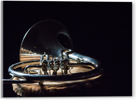 Acrylglas - Liggend Gouden Blaasinstrument tegen Zwarte Achtergrond - 40x30 cm Foto op Acrylglas (Met Ophangsysteem)