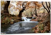 Tuinposter – Waterval door Herstbossen - 120x80 cm Foto op Tuinposter (wanddecoratie voor buiten en binnen)