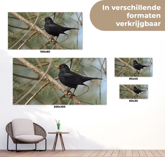 Affiche de clôture Vogel - Merle - Branches - Animaux - 200x100 cm - Toile de jardin