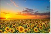 Tuinposter bloemen - Tuindecoratie zonnebloem geel - 120x80 cm - Tuinschilderij voor buiten - Tuindoek zonsondergang - Wanddecoratie - Schuttingdoek natuur - Balkon decoratie - Muurdecoratie bloemenveld - Buitenschilderijen voor in de tuin