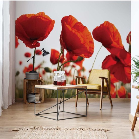 Papier peint photo Fleurs Champ de coquelicots Nature | XXL - 312 cm x 219 cm | Polaire 130g / m2