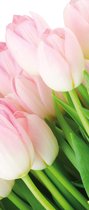 Fotobehang Flowers Tulips Nature | DEUR - 211cm x 90cm | 130g/m2 Vlies