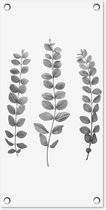 Tuinposter Planten - Bladeren - Natuur - Wit - 30x60 cm - Tuindoek - Buitenposter