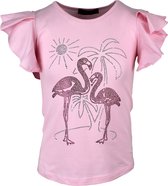S&C Shirtje Flamingo roze Kids & Kind Meisjes Blauw - Maat: 98/104