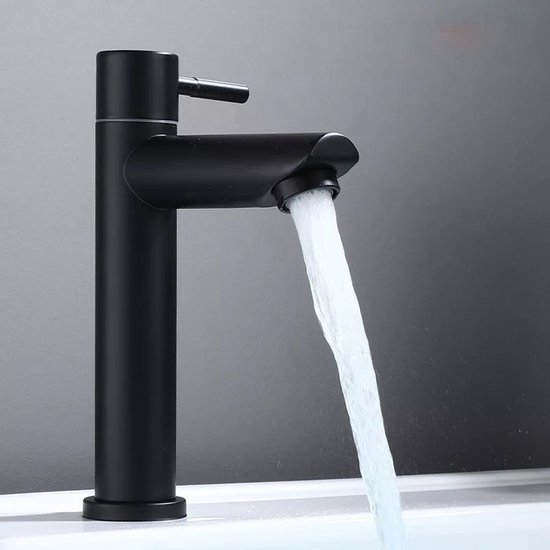 BaderiQ - robinet fontaine - robinet WC - Frejus - noir mat - eau froide -  mitigeur... | bol.com