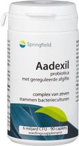 Springfield Aadexil 90 tabletten
