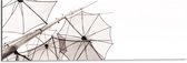 Dibond - Doorzichtige Paraplu Vormen tegen Witte Achtergrond - 90x30 cm Foto op Aluminium (Wanddecoratie van metaal)