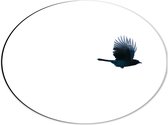 WallClassics - Dibond Ovaal - Zwarte Vogel op Witte Achtergrond - 40x30 cm Foto op Ovaal (Met Ophangsysteem)
