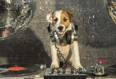 Fotobehang - Vlies Behang - Kinderbehang - DJ Disco Hond met Koptelefoon - 152,5 x 104 cm