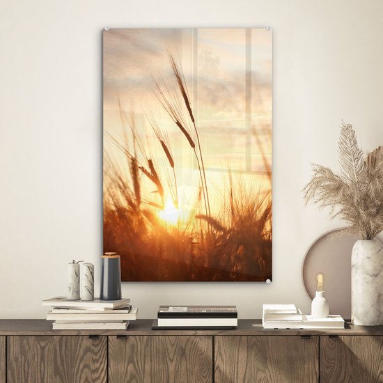 MuchoWow - Peinture sur verre - Photo sur verre - Roseau - Herbe - Soleil - Nature - 40x60 cm - Image sur verre - Décoration murale - Peinture nature - Verre acrylique