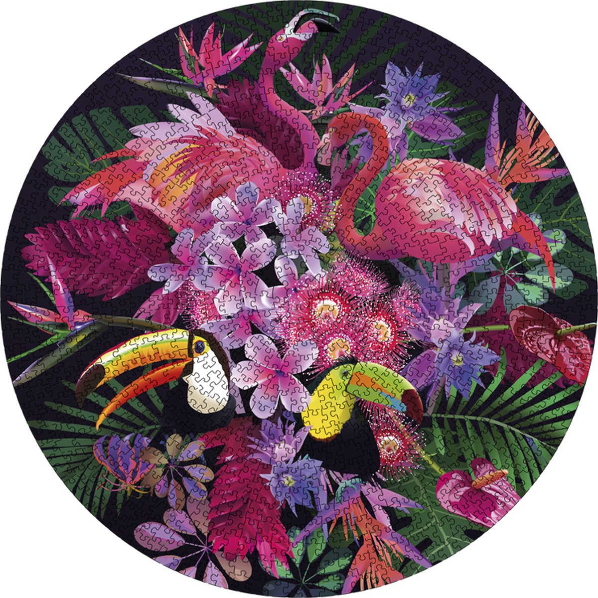 Grafix Ronde Puzzel 1000 stukjes voor volwassenen | Tropisch | Legpuzzel | Diameter 68 CM | Geschikt voor kinderen vanaf 14 jaar — afbeelding 7