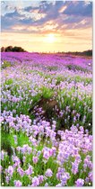 Tuinposter bloemen - Tuindecoratie lavendel paars - 80x160 cm - Tuinschilderij voor buiten - Tuindoek zonsondergang - Wanddecoratie tuin - Schuttingdoek - Balkon decoratie - Muurdecoratie natuur landschap - Buitenposter schutting