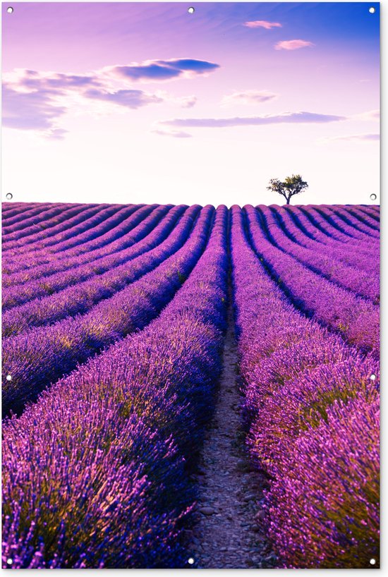Muurdecoratie Lavendel - Bomen - Paars - Bloemen - 120x180 cm - Tuinposter - Tuindoek - Buitenposter