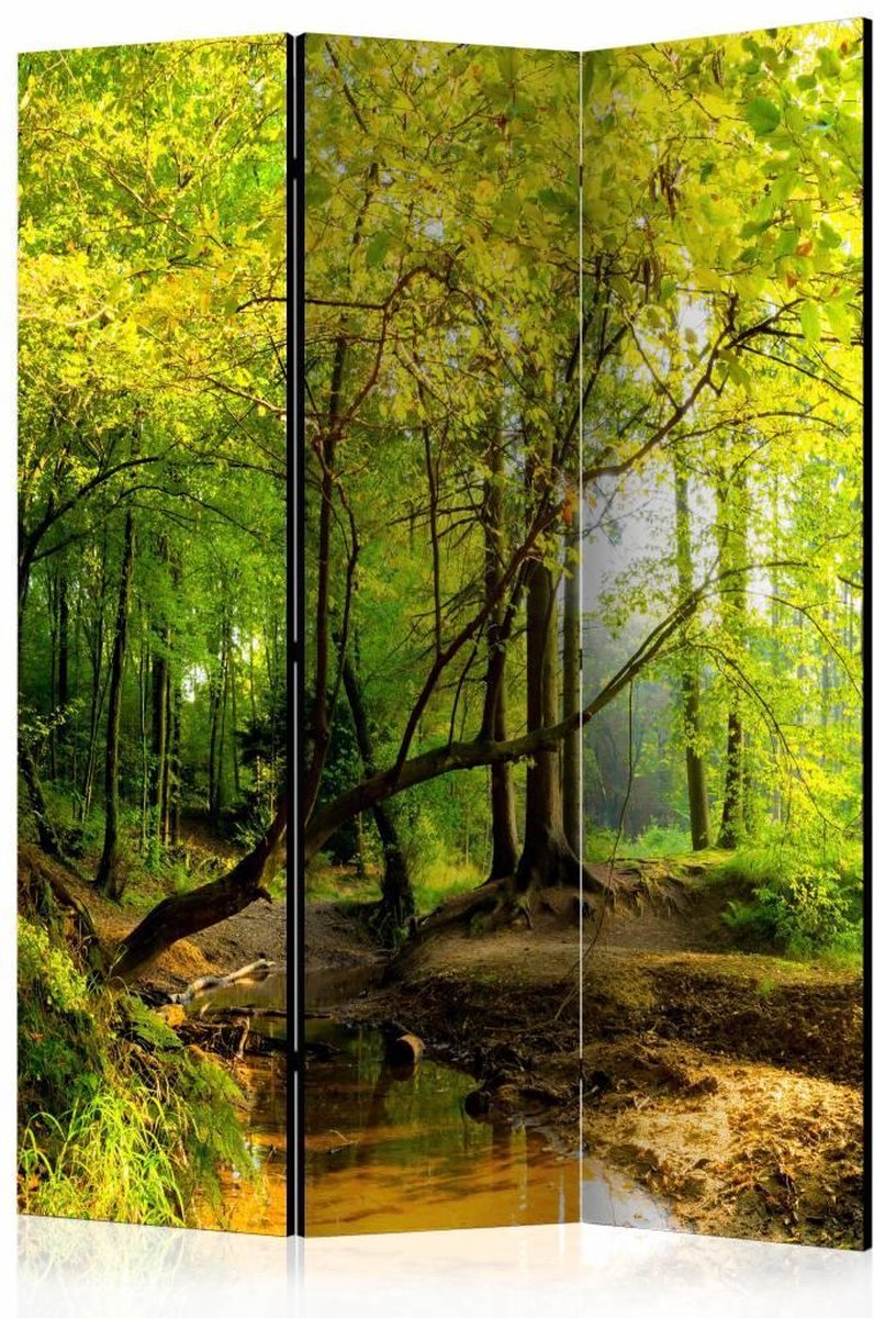 Vouwscherm - Bos 135x172cm, gemonteerd geleverd, dubbelzijdig geprint (kamerscherm)