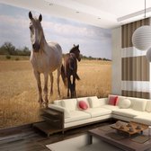 Fotobehang - Paard en Veulen , beige bruin